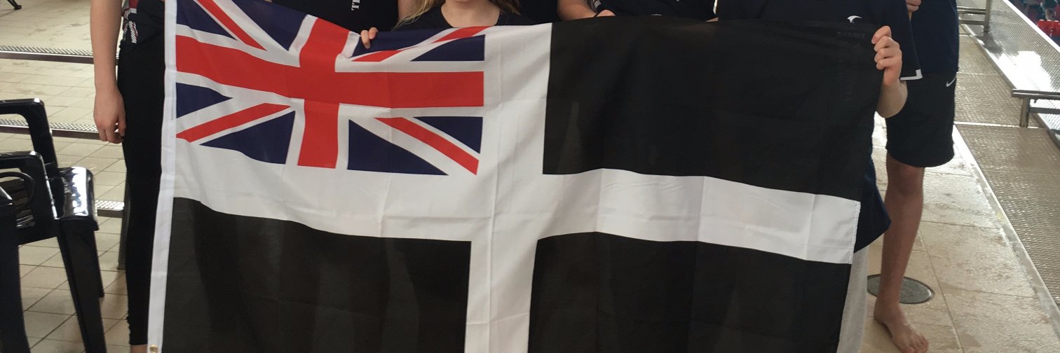 St Austell Sharks banner