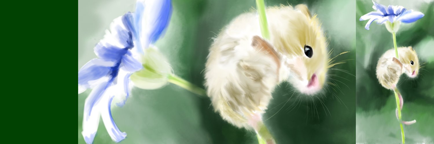 ShoebillStork banner