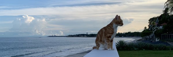 VieneLaSalsa Profile Banner