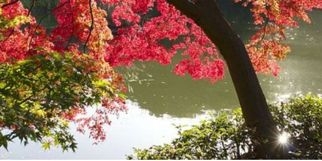 daralicious1's profile banner image