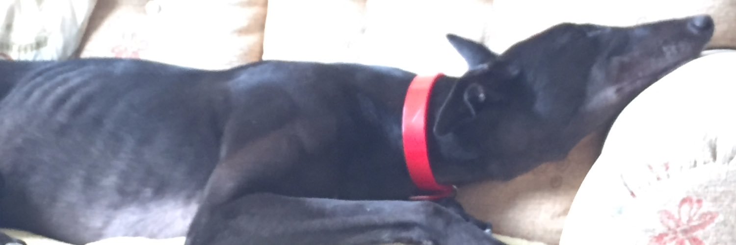 Miss Ellie banner