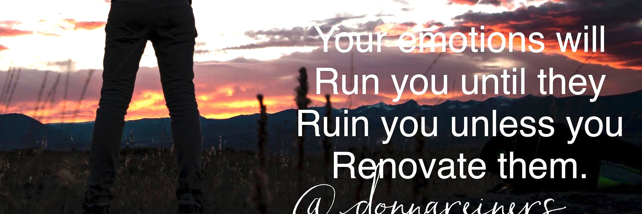 Donna Reiners banner
