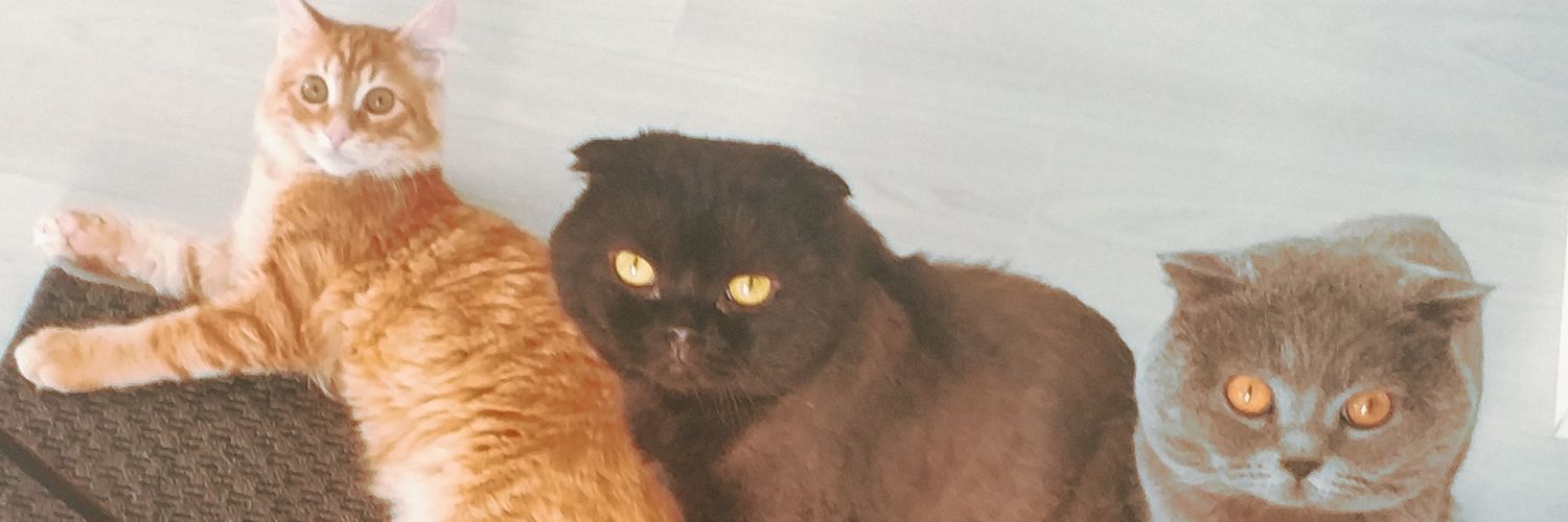 mevlutsavur's profile banner image