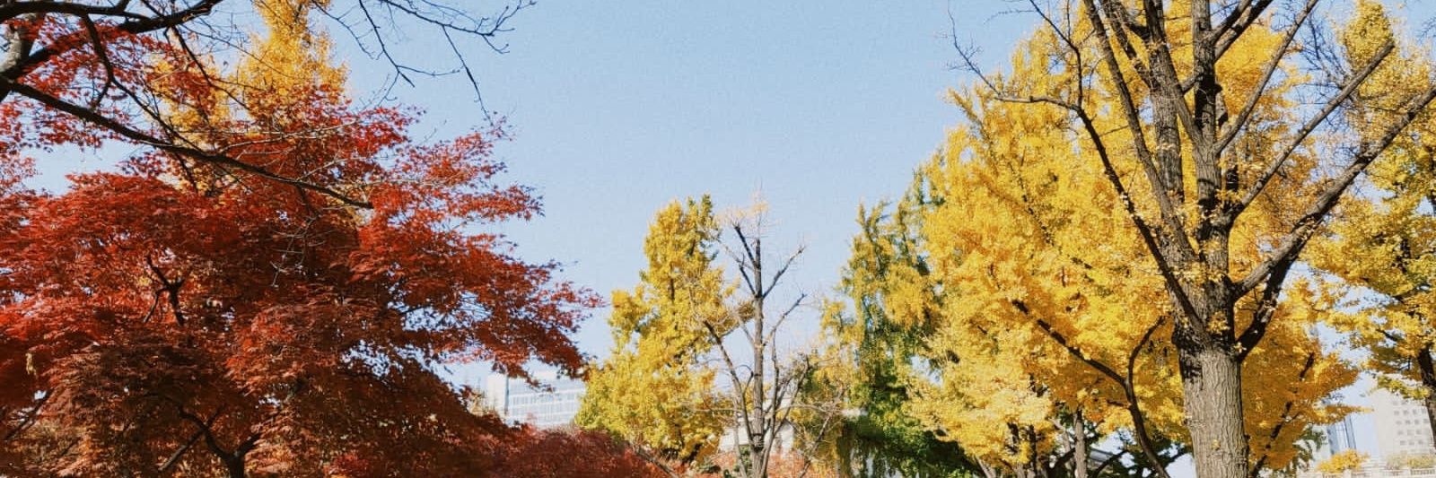 rininyw's profile banner image