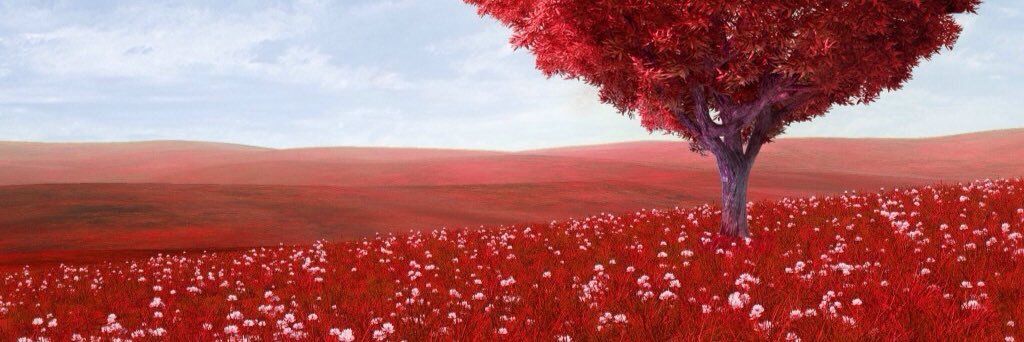 hh_ls's profile banner image