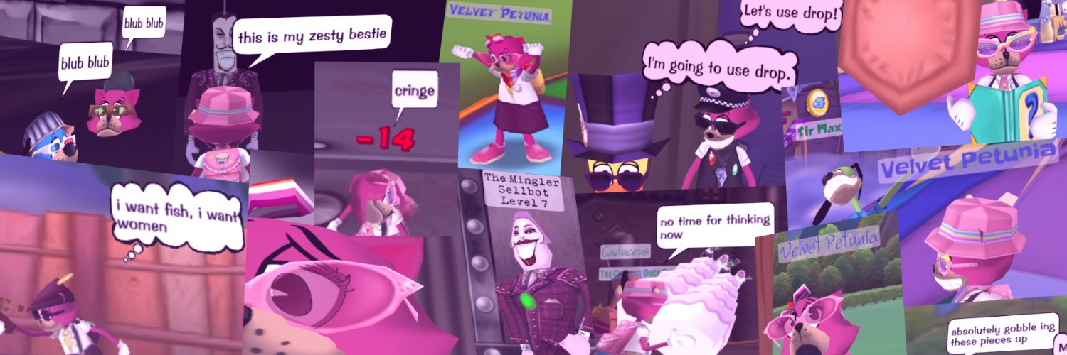 Velvet Petunia banner