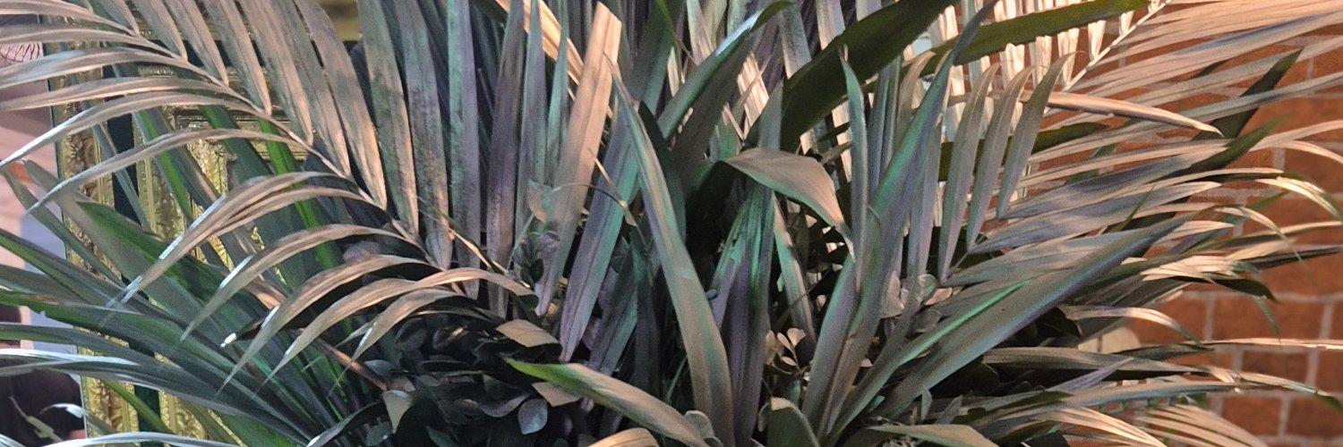 Cacastro2025's profile banner image