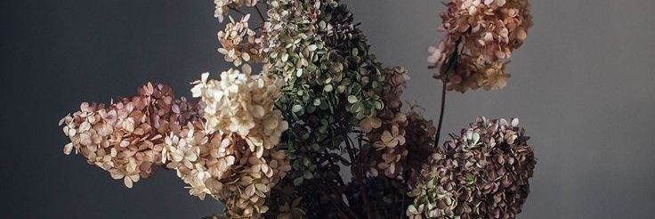 duygubesel's profile banner image