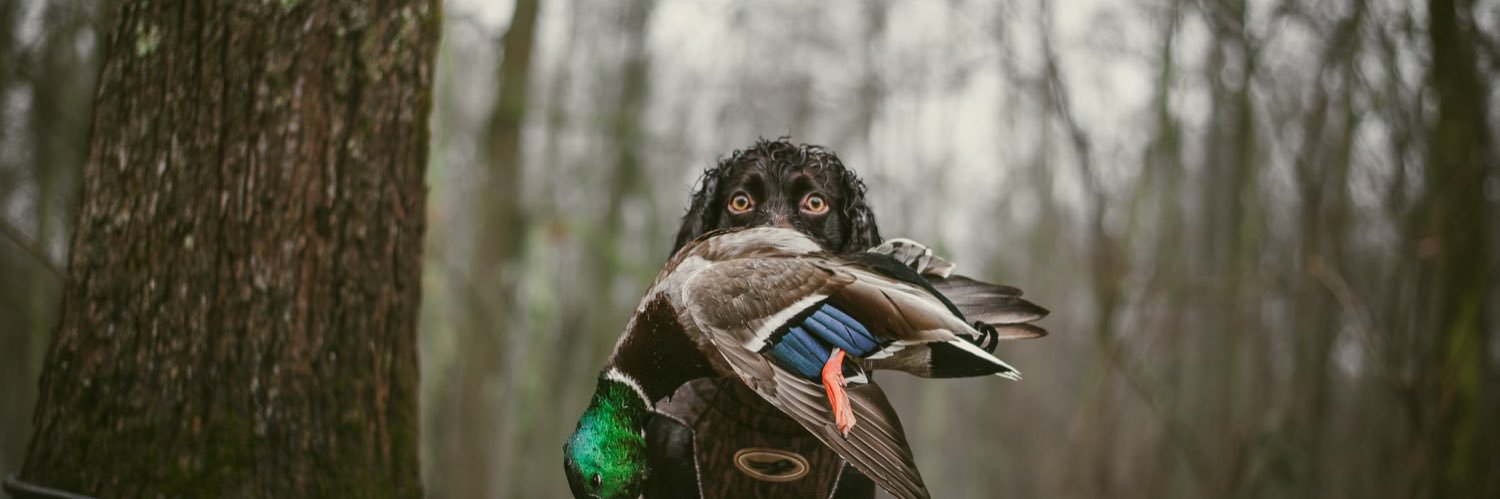 hunterjones565's profile banner image