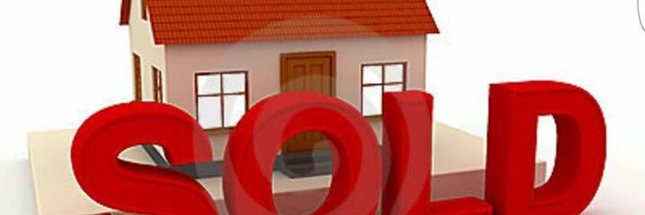 dehaven_leniger's profile banner image