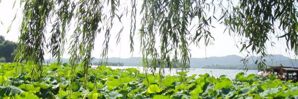 kiky's profile banner image