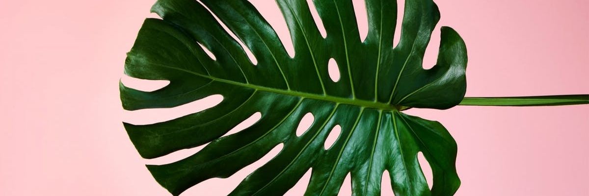 ChristopherAK's profile banner image