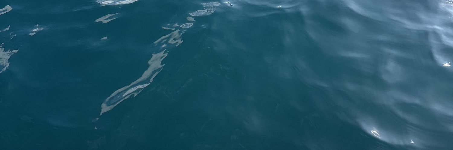 Balaenoptera_'s profile banner image