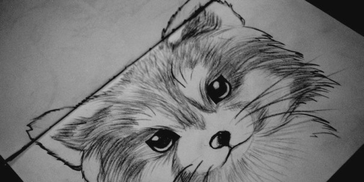 SVoitz's profile banner image