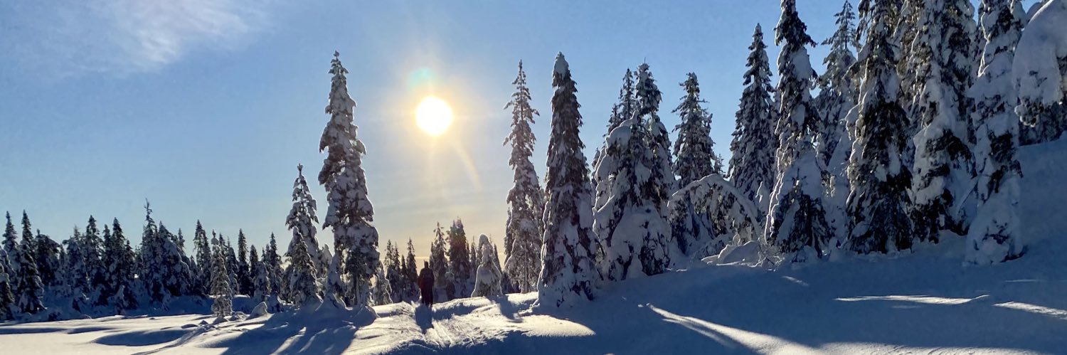 EliseLandsem's profile banner image