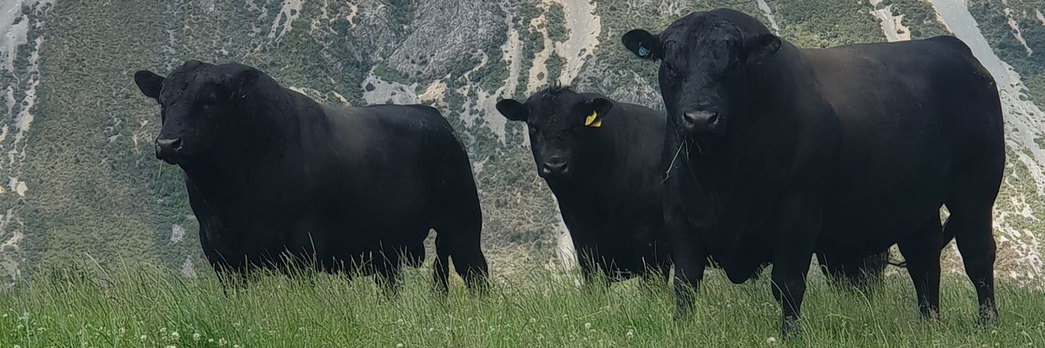 Derek de Stacpoole banner