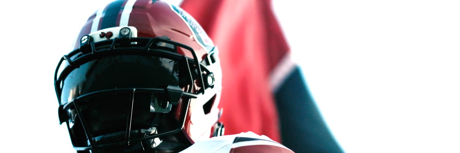 samdu's profile banner image