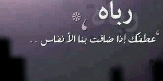 rashid20098's profile banner image