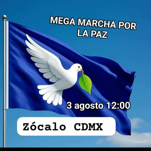 TERE_MIDELEGA's profile banner image
