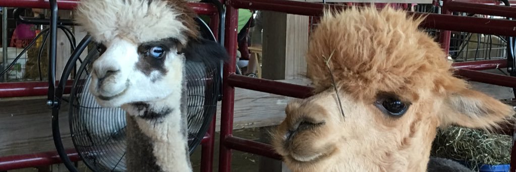 Moms_faces's profile banner image