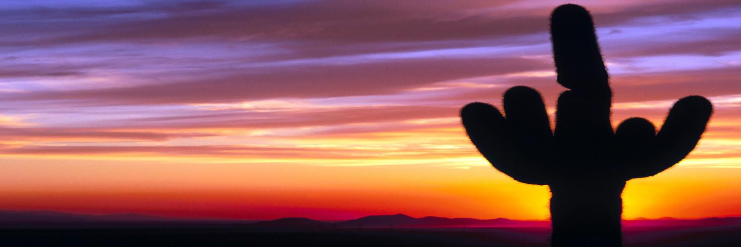 CJator's profile banner image