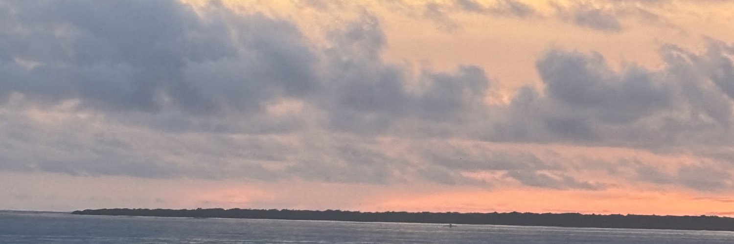 themariusdave's profile banner image