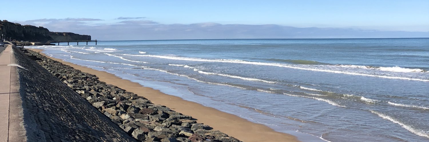 Ashley Harrington banner