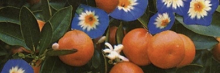 alexuswilliams_'s profile banner image