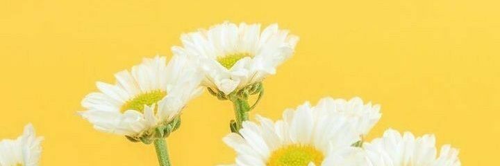 yakdky's profile banner image