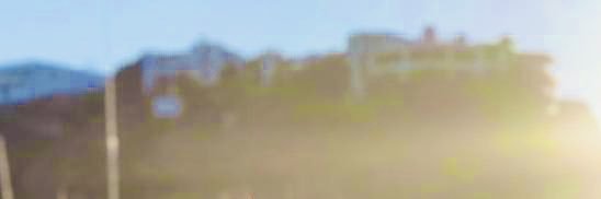 Fernandamdelfin's profile banner image