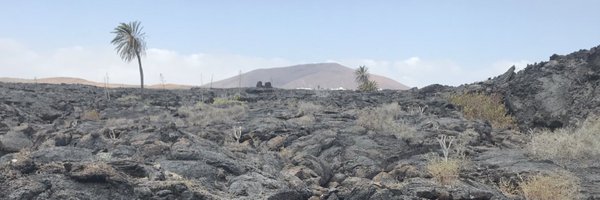 marianebotc Profile Banner