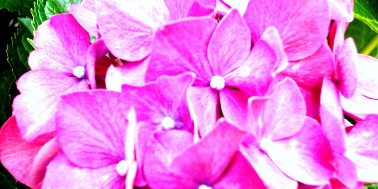 HowardHolli's profile banner image