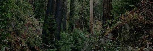 nick33v's profile banner image