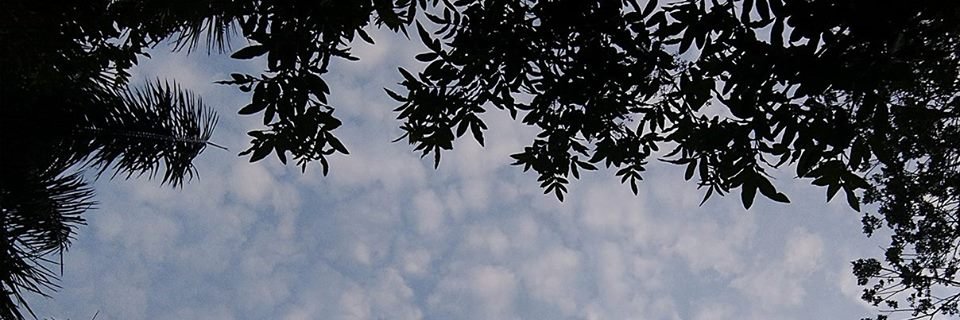 megasto20's profile banner image