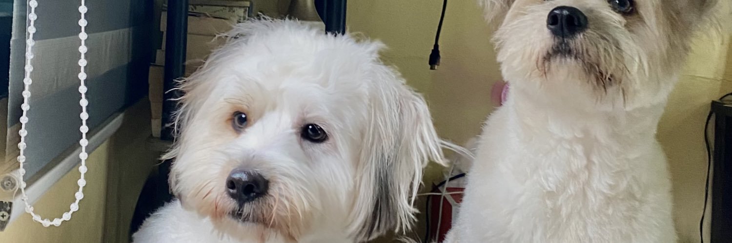 heyitssmal's profile banner image