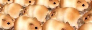 ane banner