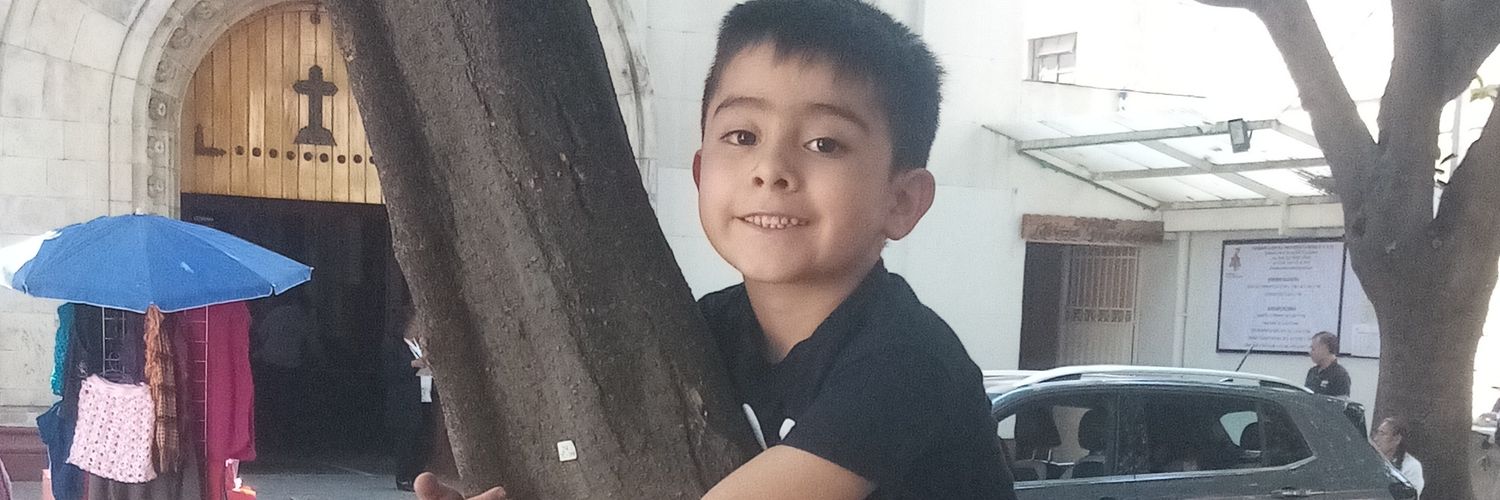 uvitavillalobos's profile banner image