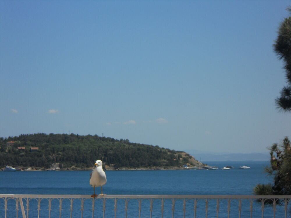 ata_tugcee's profile banner image