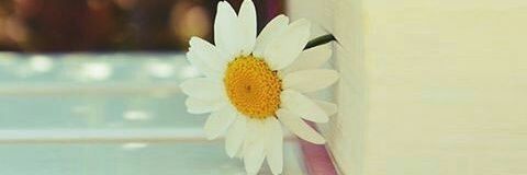 alsaeed_bc's profile banner image