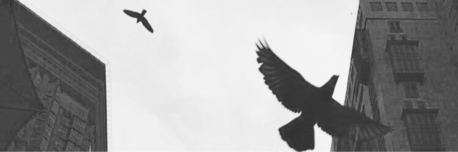 iSameera_'s profile banner image