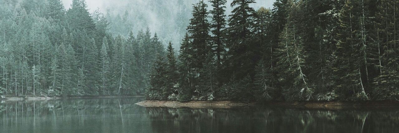 barbraannee's profile banner image