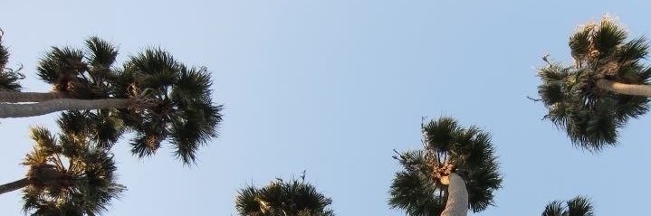 Rb44_'s profile banner image