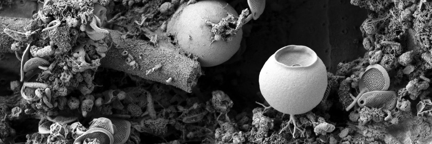 Jeremiah (Jer) Shuster banner