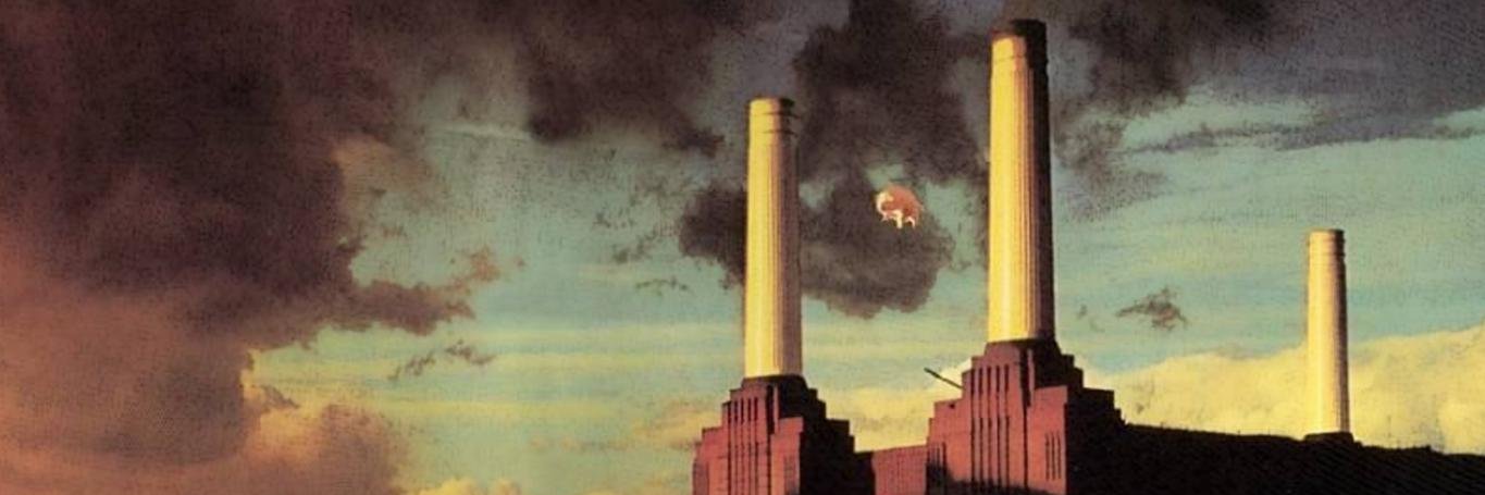 Sheep Floyd banner