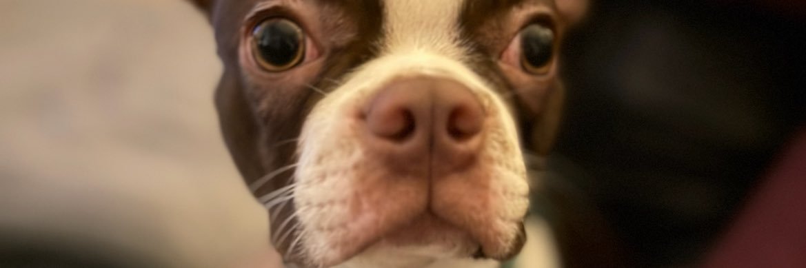 TomCull2's profile banner image