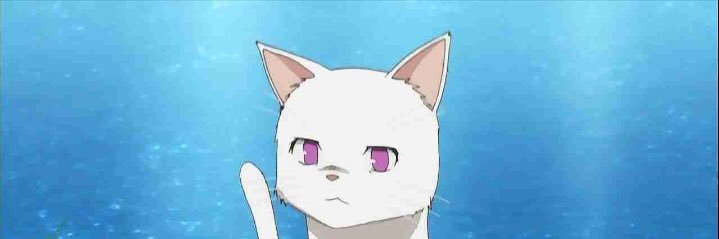 Himari_bot's profile banner image