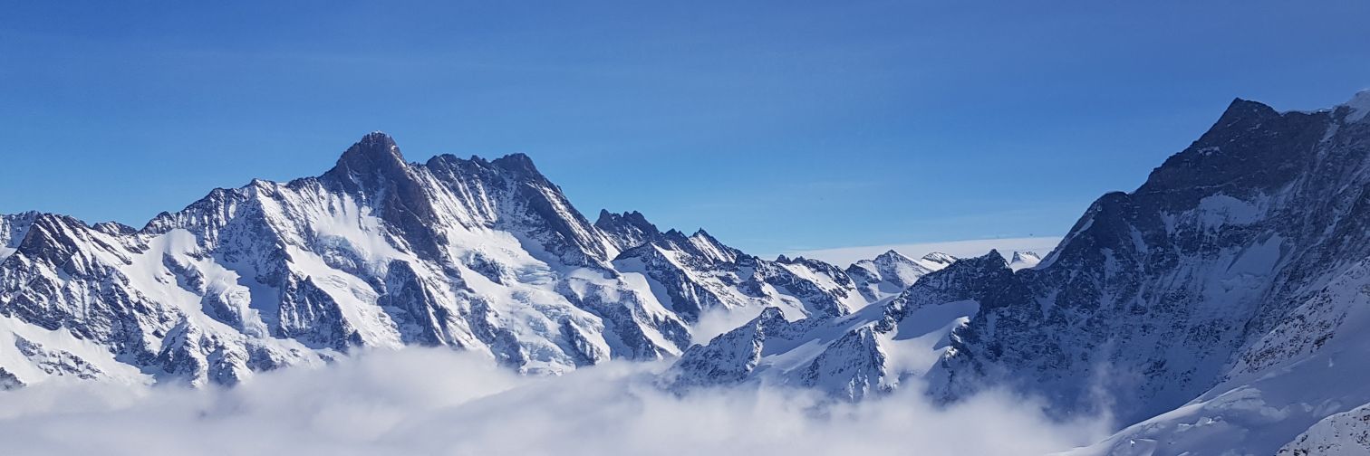 davidmo11's profile banner image