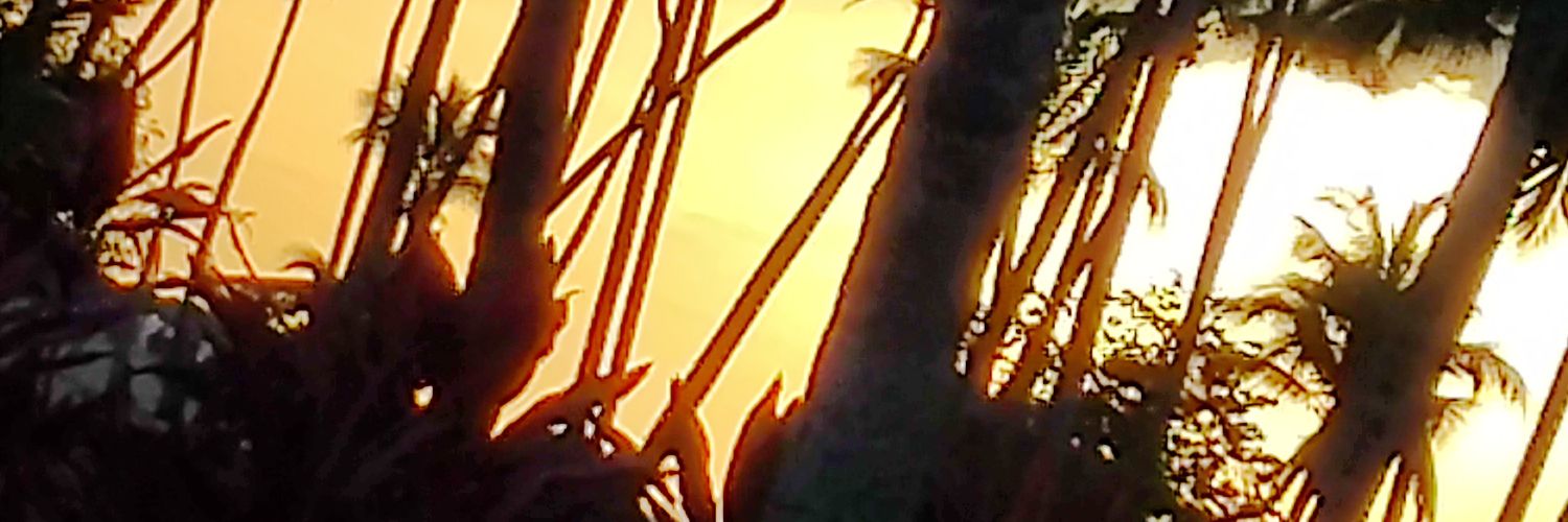 CmVilomar's profile banner image