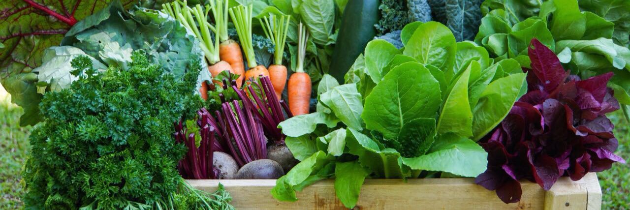 BSP Organic Farm banner