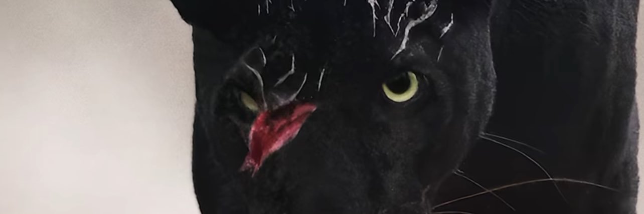 MayarOmar97's profile banner image